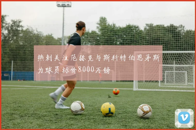 热刺关注范赫克与斯科特伯恩茅斯为球员标价8000万镑